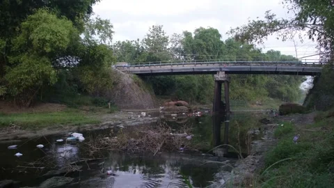 Dirty river with plastic trash and domestic waste Stock Footage 158464022