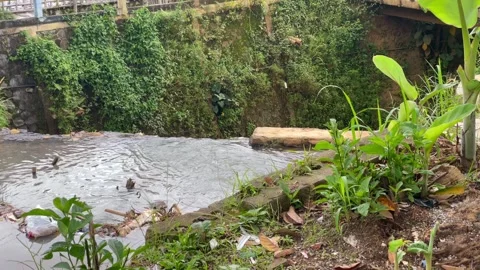 Dirty river water flow filled with plastic waste and household garbage. Stock Footage 325450080