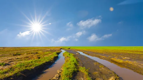 Dirty road among green fields under a sparkle sun time lapse scene Stock Footage 239742415