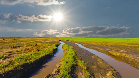 Dirty road among green fields under a sparkle sun Stock Footage 256085316