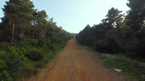 Dirty road in forest Stock Footage 218406626