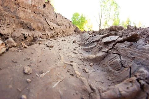 Dirty road in forest Stock Photos