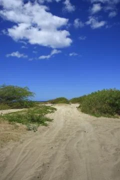 Dirty Road Stock Photos