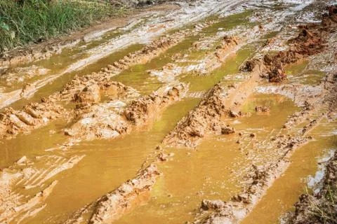 Dirty road. Stock Photos