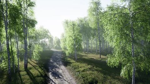 Dirty road through summer forest Illustrazione stock