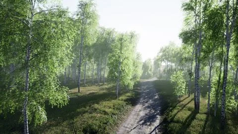Dirty road through summer forest Illustrazione stock