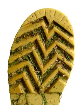 Dirty rubber boot Stock Photos