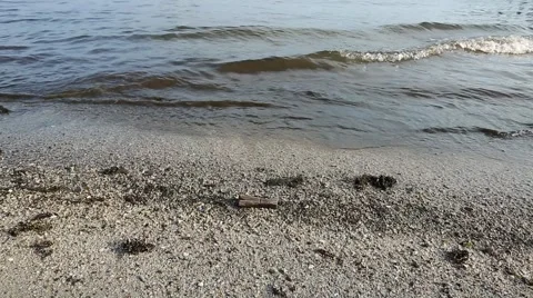 Dirty sand beach Stock Footage 48786894