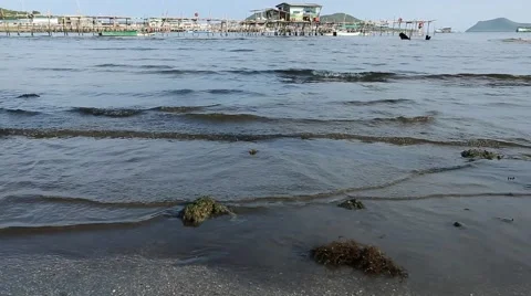 Dirty sand beach Stock Footage 48788112