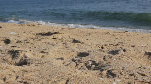 Dirty Sand with Water in Background Stock Footage 30461466