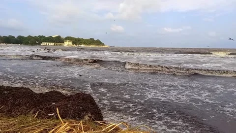 Dirty sea, heaps of garbage on sandy shore, pollution, environmental problem Stock Footage 251586151