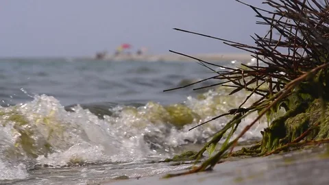 Dirty sea water Stock Footage