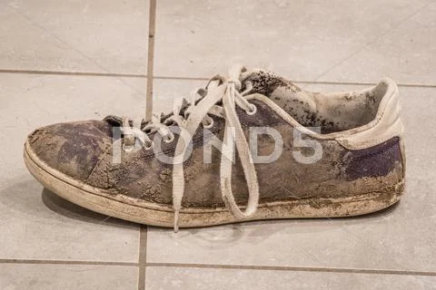 Dirty shoe with white laces Stock Photos