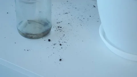 Dirty soil on white table after trasplanting plants in flower pot at home. Stock Footage 158878076