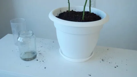 Dirty soil on white table after trasplanting plants in flower pot at home. Stock Footage 158914595