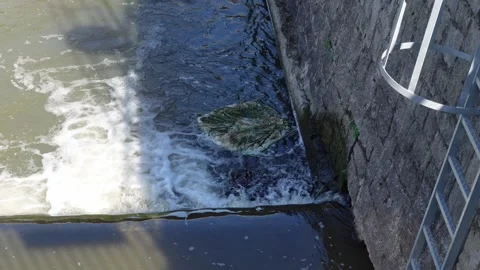 Dirty spot spinning in a river stream Stock Footage 285949607