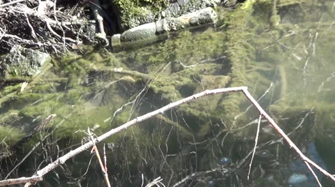 Dirty spring water small river 2 Stock Footage 36036582