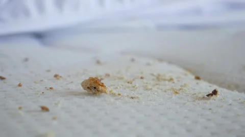 Dirty stain or dust on a sofa Stock Footage 276345123