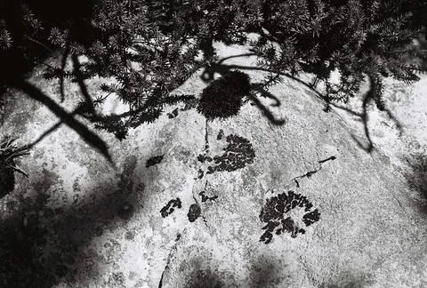 Dirty Steps Stock Photos