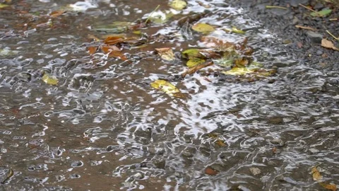 A dirty stream flows over stones. Yellow leaves lie on the ground Stock Footage 117412474
