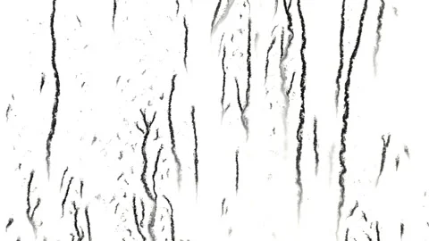 Dirty streams Видео 149006875