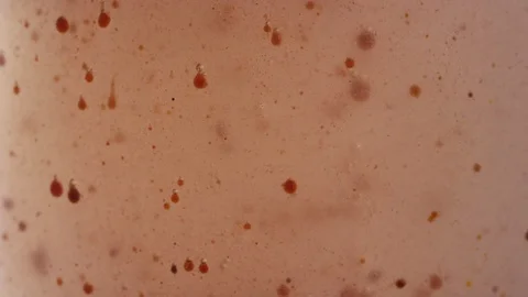 Dirty swamp liquid abstract texture background Video stock 118300535