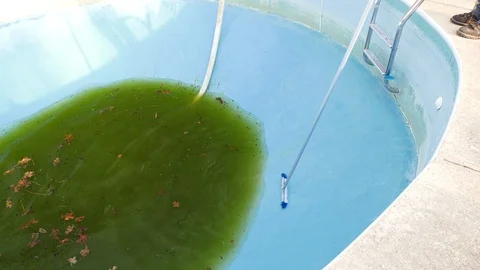 Dirty swimming pool being cleaned Stock Footage 106537429