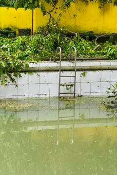Dirty swimming pool Foto stock