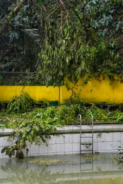 Dirty swimming pool Stock-Fotos