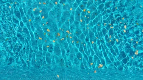 Dirty swimming pool.Fallen leaves float on the surface of the pool Stock Footage 97336647
