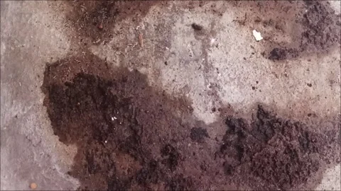 Dirty Texture of Wet Dark Mud on Grunge Concrete Floor Background Stock Footage 333879031