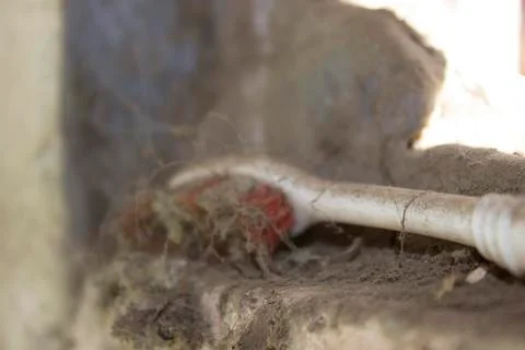 Dirty Toothbrush head on a ledge Stock Photos