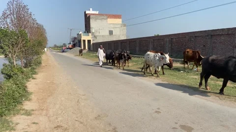 Dirty traffic making rush on roads in Lahore Pakistan on March 18, 2024 Stock Footage 269836907