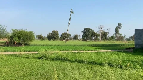 Dirty traffic making rush on roads in Lahore Pakistan on March 18, 2024 Stock-Footage 269845342