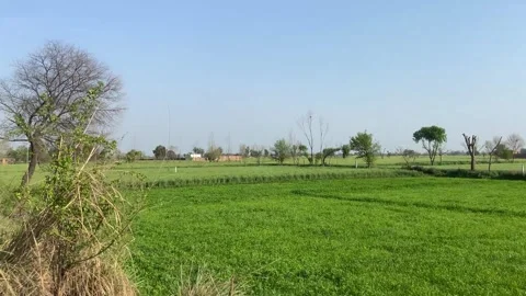 Dirty traffic making rush on roads in Lahore Pakistan on March 18, 2024 Stock Footage 269848761