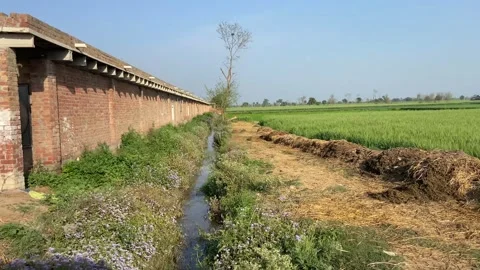 Dirty traffic making rush on roads in Lahore Pakistan on March 18, 2024 Stock-Footage 269849480