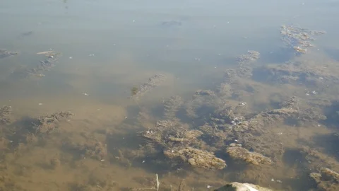 Dirty transparent water 動画素材 90519673