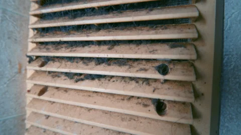 Dirty Ventilation Grille Covered with Dust and Cobwebs CloseUp. HVAC Maintenance Stock Footage 341905075