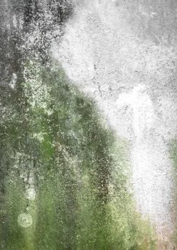 Dirty wall with mold Stock Photos