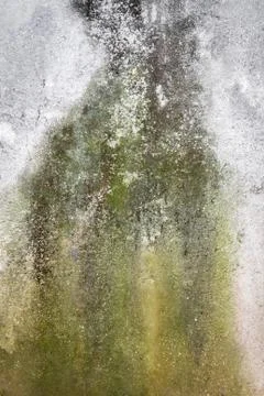 Dirty wall with mold Stock Photos