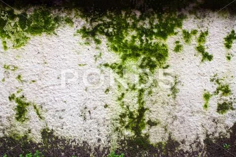 Dirty Wall Stock Photos