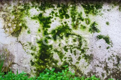 Dirty Wall Stock Photos