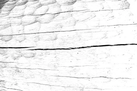A dirty wall texture background on the white 스톡 사진
