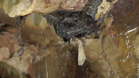 Dirty walls 스톡 동영상 45588253