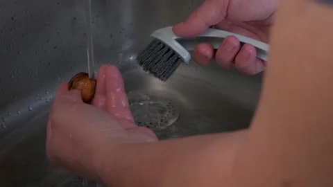 Dirty walnuts are cleaned with a brush over a thin stream of water Stock Footage 150964575