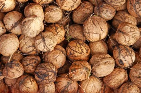Dirty walnuts background Stock Photos