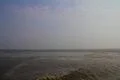 Dirty Water 1713 Photo