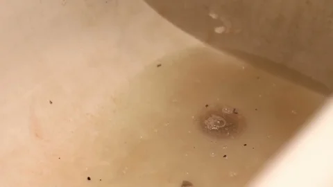 Dirty Water and drain Near the black plunger Stock Footage