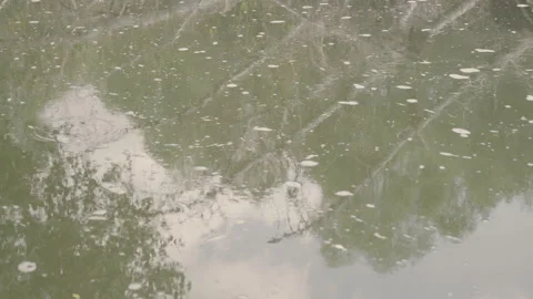 Dirty water flow close up Stock Footage 166700498