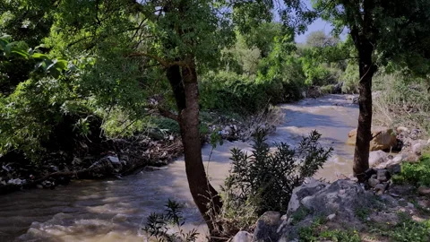 Dirty Water Flowing From a Drain Pipe Stock Footage 337434193